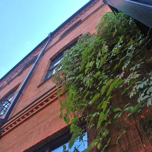 Бизнес-квартал "Даниловская мануфактура"/Кор. "Ряды Солдатенкова"